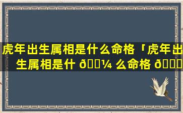 虎年出生属相是什么命格「虎年出生属相是什 🌼 么命格 💐 的人」